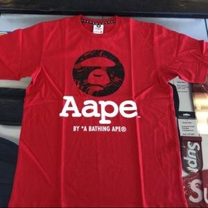 Meet your Posher, Wyatt